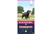 Hund - Eukanuba Caring Senior Large Breed Chicken 12KG - EH641200