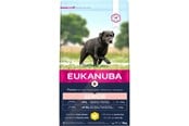 Hund - Eukanuba Senior Large Breed 3 kg - EH640300