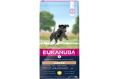 Hund - Eukanuba Developing Junior Large Breed Chicken 15 kg - EH611500