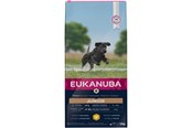 Hund - Eukanuba Developing Junior Large Breed Chicken 12KG - EH611200