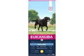 Hund - Eukanuba Mature Large Breed 12 kg - EH141200