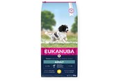 Hund - Eukanuba Adult Medium Breed Fersk Kylling 15kg - EH061500