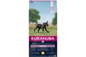 Hund - Eukanuba Puppy Large Breed 15kg - EH031500