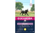 Hund - Eukanuba Puppy Large Breed 3kg - EH030300