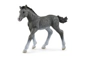 Schleich - Schleich Trakehner Føll - 13944