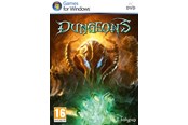 Spill - Dungeons - Limited Edition - Windows - Strategi - 4260089413832