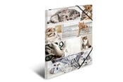 Mapper & Ordrebrett - HERMA Elasticated folder A3 cardboard cats - 19219