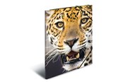 Mapper & Ordrebrett - HERMA Elasticated folder A4 PP Leopard - 7137