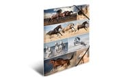 Mapper & Ordrebrett - HERMA Elasticated folder A3 cardboard horses - 19217