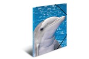 Mapper & Ordrebrett - HERMA Elasticated folder A3 PP Dolphin - 7146