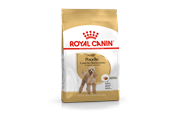 Hund - Royal Canin Poodle Adult 1.5kg - 3182550743174