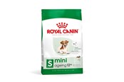 Hund - Royal Canin Mini Ageing 12+ 3.5kg - AMABEZKAR1029