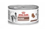 Hund - Royal Canin Vet Recovery Canine/Feline 195g - 9003579307717