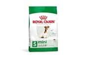 Hund - Royal Canin Mini Adult 8+ 800g - 3182550831413