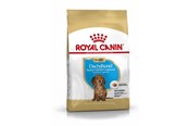 Hund - Royal Canin Dachshund Puppy 1.5 kg - 3182550722575