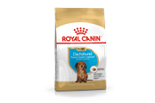 Hund - Royal Canin Dachshund Puppy 1.5kg - 3182550722575