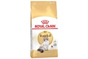 Katt - Royal Canin Ragdoll Adult 2kg - 59759