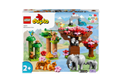 LEGO® - LEGO DUPLO 10974 Ville dyr fra Asia - 10974