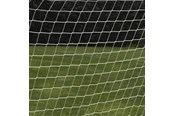 Fotball & Ballspill - Europlay My Hood - Net for Homegoal Senior (200 x 160 cm) - 302153