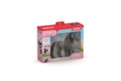 Schleich - Schleich SB Criollo Definitivo Hoppe - 42581