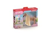 Schleich - Schleich SB Startsett - Kim & Caramelo - 42585