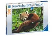 Puslespill - Ravensburger AT: Red Panda Foto 500p - 17381