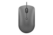 Mus - Lenovo 540 - mouse - compact - storm grey - Mus - Optisk - 4 - Grå - GY51D20876