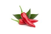 Smarthus - Click & Grow Smart Garden Refill 3-pack - Chili Pepper - SGR6X3