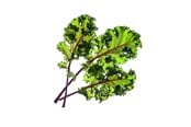 Smarthus - Click & Grow Smart Garden Refill 3-pack - Red Kale - SGR47X3