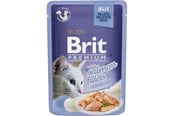 Katt - Brit Premium Jelly w/ Salmon Fillets for Adult Cats 85g - BK4900085