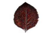 Servering & Servise - Costa Nova Plate Hydrangea Riviera 22 x 19 cm Garnet red/black sparkles - 22717