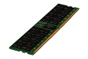 RAM - Hewlett Packard Enterprise E SmartMemory - DDR5 - module - 64 GB - DIMM 288-pin - 4800 MHz / PC5-38400 - registered - P50312-B21