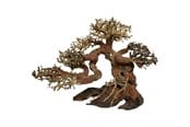 Fisk - 4FISH Bonsai tree roots 15x8x10 cm - AT1020