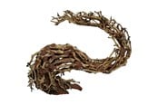 Fisk - 4FISH Dragonhead tree roots 40x15x30 cm - AT1027