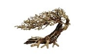 Fisk - 4FISH Tree roots Elegant Brazilian tree 70x23x50cm - AT1032