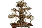 Fisk - 4FISH Tree roots Old Bonsai 40x20x40 cm - AT1035