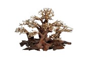 Fisk - 4FISH Tree roots Mini forest 40x20x25 cm - AT1037