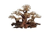 Fisk - 4FISH Tree roots Mini forest 50x25x30 cm - AT1038