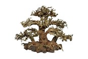 Fisk - 4FISH Tree roots Tree Island 30x15x23 cm - AT1043