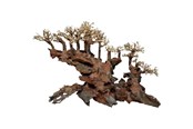 Fisk - 4FISH Tree roots Water bridge 40x30x30 cm - AT1052