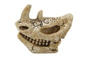 Fisk - 4FISH Skull 7.5x4x6.3 cm - AT47385