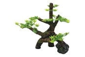 Fisk - 4FISH Tree 18x8x17.5 cm - AT47419