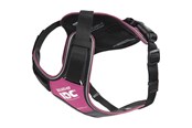 Hund - Julius-K9 K9 IDC Longwalk - pink-grey L - H681562