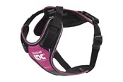 Hund - Julius-K9 K9 IDC Longwalk - pink-grey M - H681579