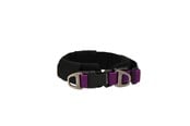 Hund - Dogman Halsband Emmi lila S - 127013