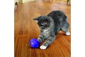 Katt - KONG Cat Treat Dispensing Ball 7.5cm - 340335