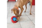 Hund - KONG Dog Toy Gyro Small 14cm - 340808