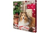 Hund - Trixie Advent Calendar for Dogs - TX9268