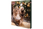 Katt - Trixie PREMIO Advent Calendar for cats 24.5 × 37 × 3.5cm - TX9264