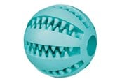 Hund - Trixie Dog Toy Denta Fun Ball Rubber Mint Flavour 6cm - TX-32880